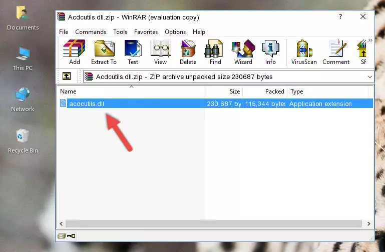 Pasting the Acdcutils.dll file into the software's file folder