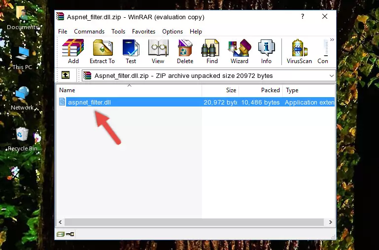 Copying the Aspnet_filter.dll file into the file folder of the software.