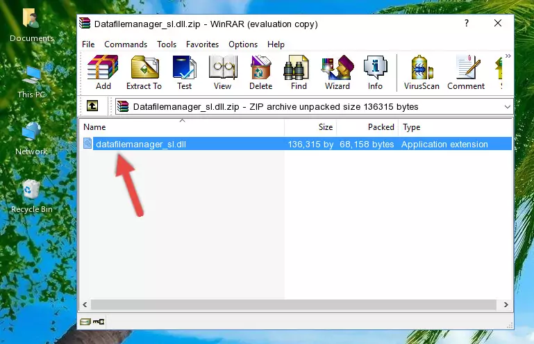 Copying the Datafilemanager_sl.dll library into the installation directory of the program.