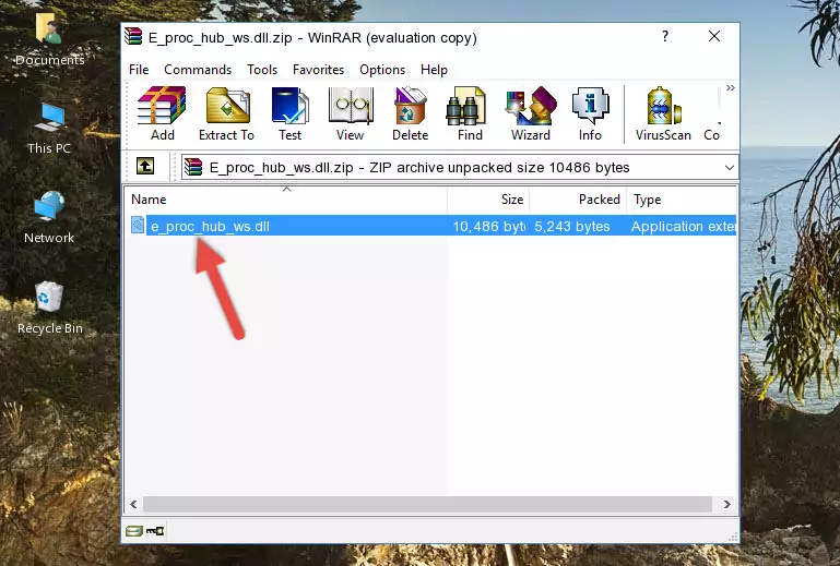 Copying the E_proc_hub_ws.dll file into the software's file folder
