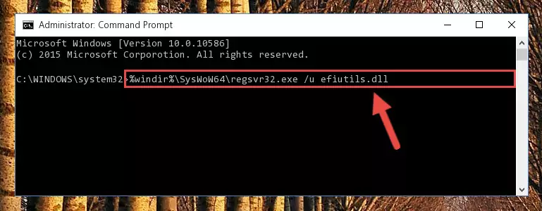 Creating a clean registry for the Efiutils.dll library (for 64 Bit)