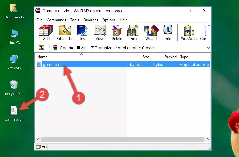 Pasting the Gamma.dll file into the software's file folder