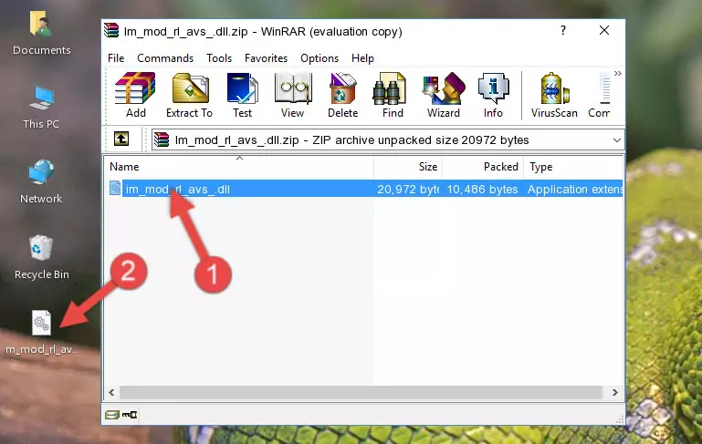 Pasting the Im_mod_rl_avs_.dll library into the program's installation directory