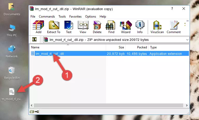 Copying the Im_mod_rl_cut_.dll file into the software's file folder