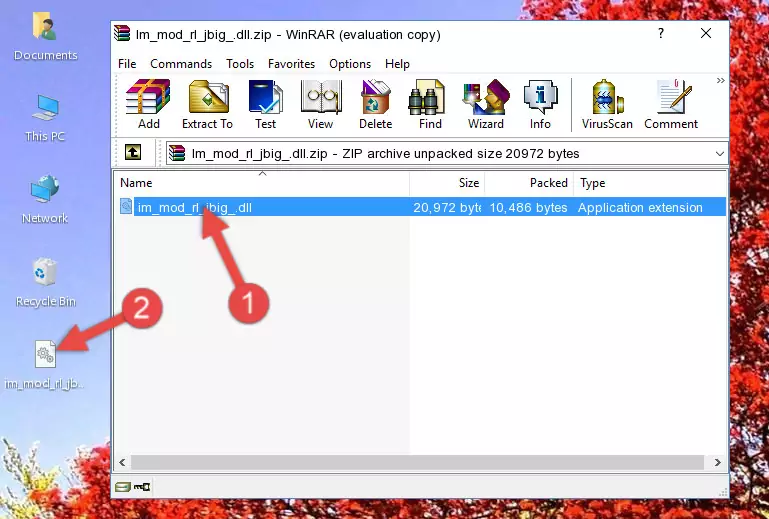 Pasting the Im_mod_rl_jbig_.dll library into the program's installation directory