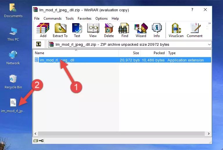 Pasting the Im_mod_rl_jpeg_.dll library into the program's installation directory