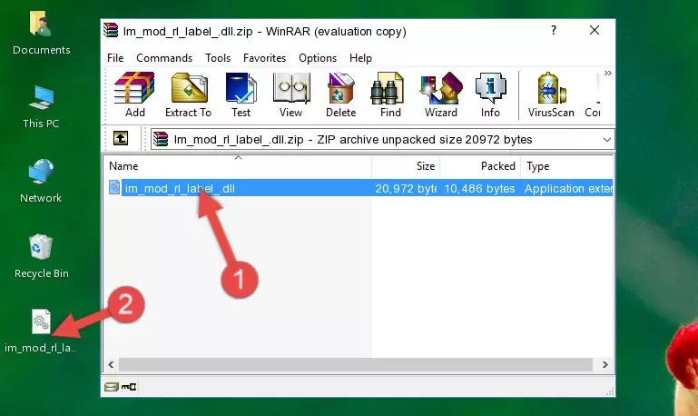 Pasting the Im_mod_rl_label_.dll file into the software's file folder