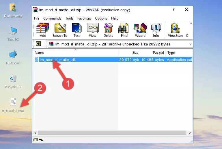 Copying the Im_mod_rl_matte_.dll file into the software's file folder