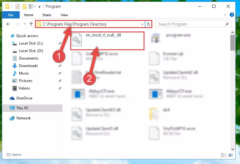 Choosing the Im_mod_rl_null_.dll file