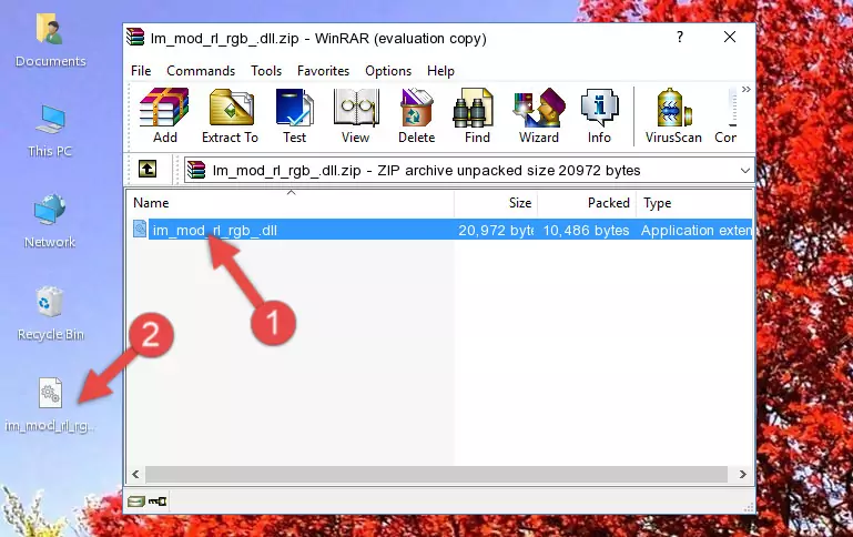 Pasting the Im_mod_rl_rgb_.dll file into the software's file folder
