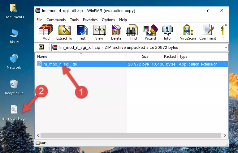 Copying the Im_mod_rl_sgi_.dll library into the program's installation directory