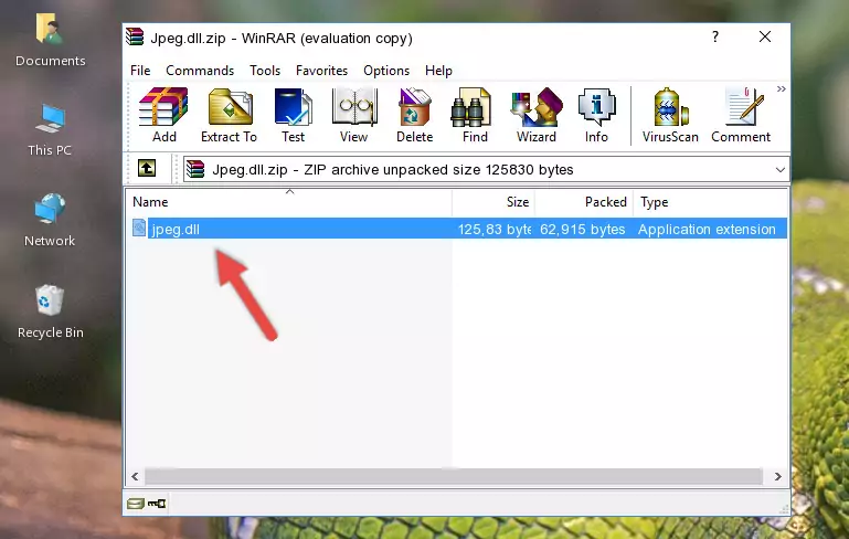 Copying the Jpeg.dll library into the program's installation directory