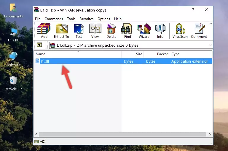 Pasting the L1.dll file into the software's file folder