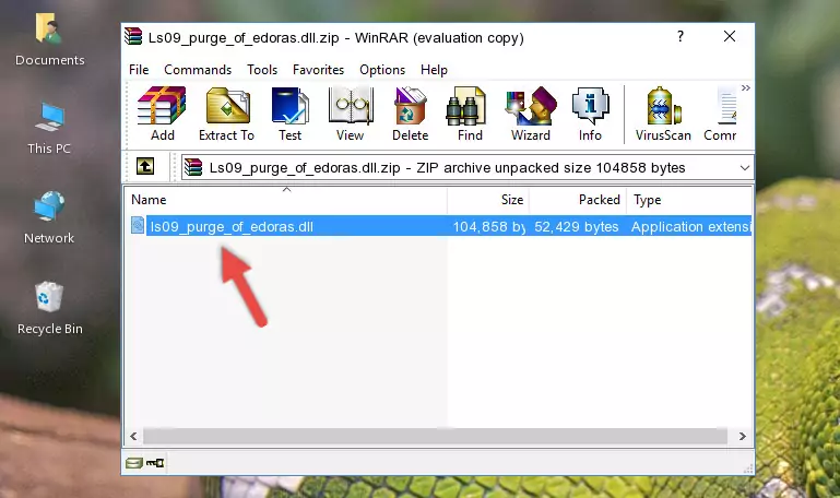 Copying the Ls09_purge_of_edoras.dll library into the installation directory of the program.