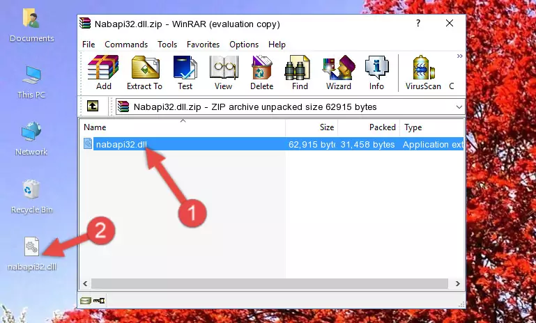 Copying the Nabapi32.dll file into the software's file folder