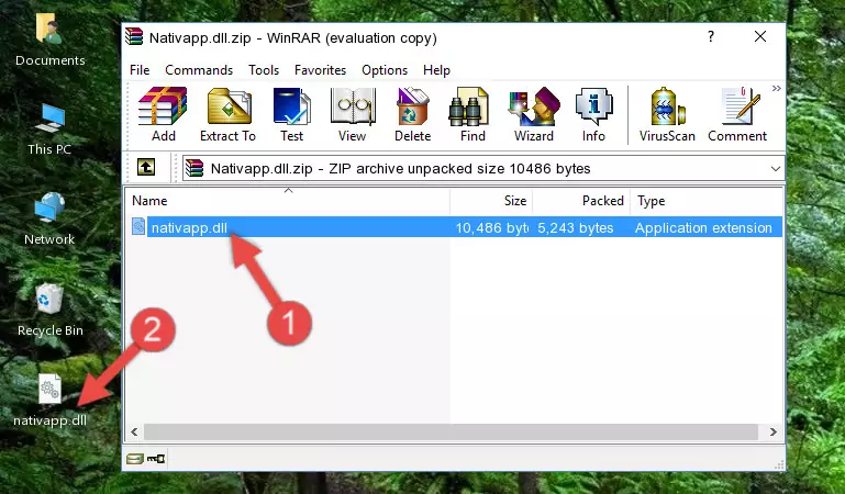 Copying the Nativapp.dll file into the software's file folder