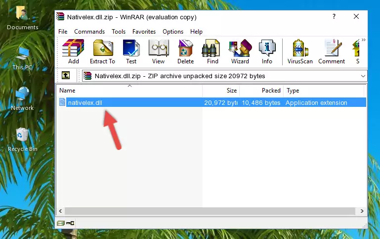 Pasting the Nativelex.dll file into the software's file folder