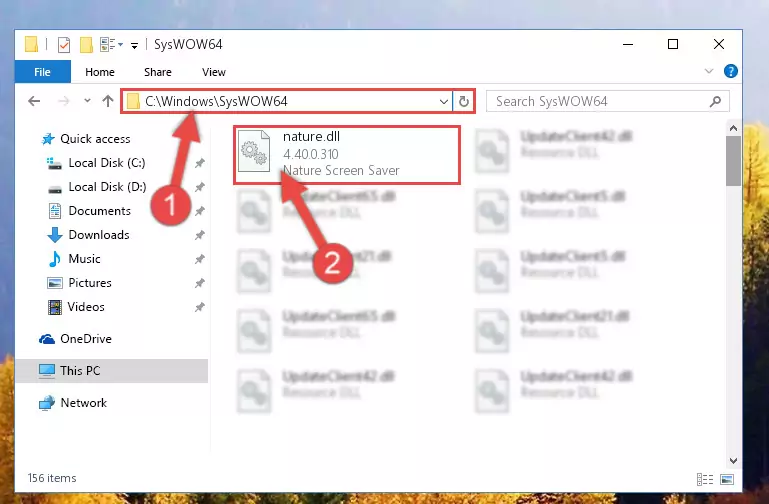 Pasting the Nature.dll file into the Windows/sysWOW64 folder