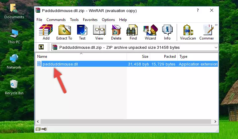 Pasting the Padduddimouse.dll file into the software's file folder