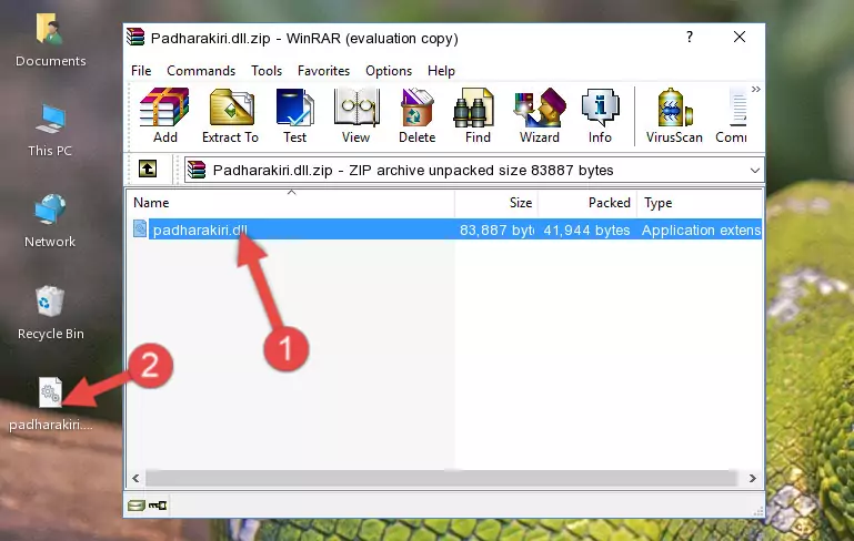 Copying the Padharakiri.dll file into the software's file folder