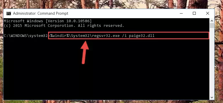 Creating a clean registry for the Paige32.dll file (for 64 Bit)