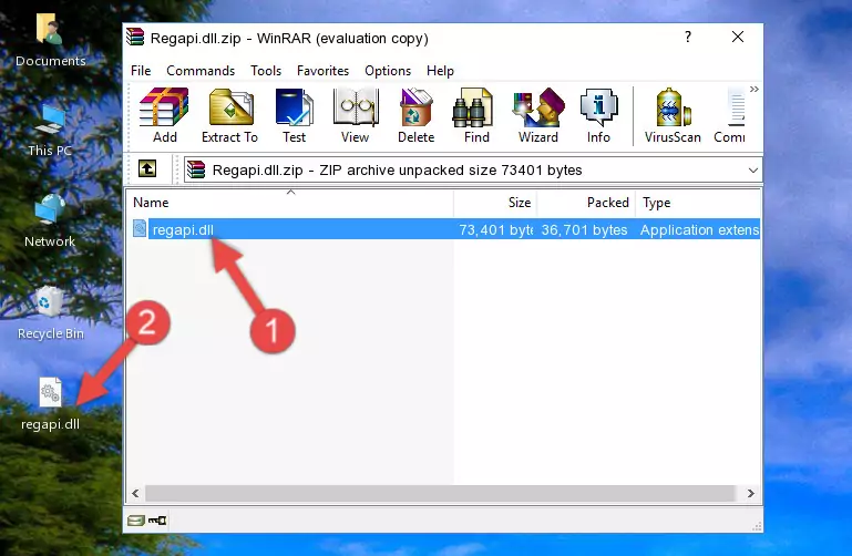 Pasting the Regapi.dll file into the software's file folder