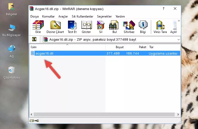 Uygulama ana klasörüne Acgex16.dll dosyasını yapıştırma