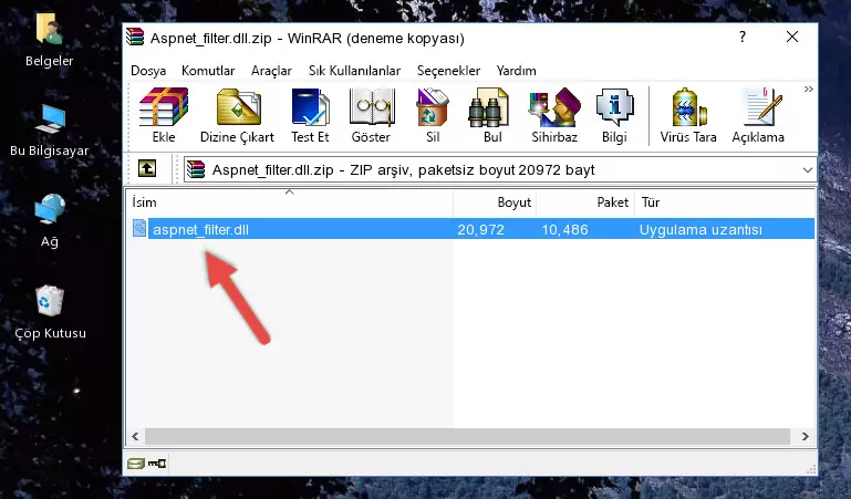 Program kurulum dizinine Aspnet_filter.dll dosyasını kopyalama.