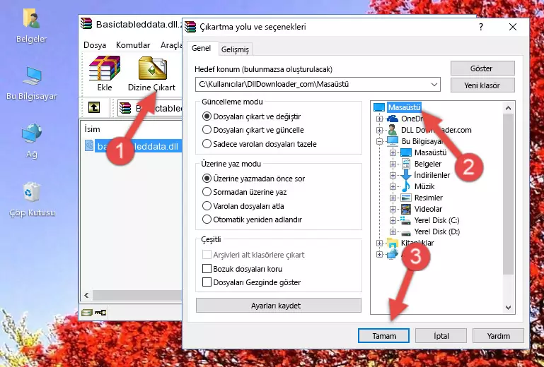 Basictableddata.dll dosyasını Windows/System32 dizinine yapıştırma