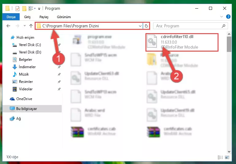 Cdrinfofilter110.dll kütüphanesinin sorunlu kaydını Regedit'den kaldırma (64 Bit için)