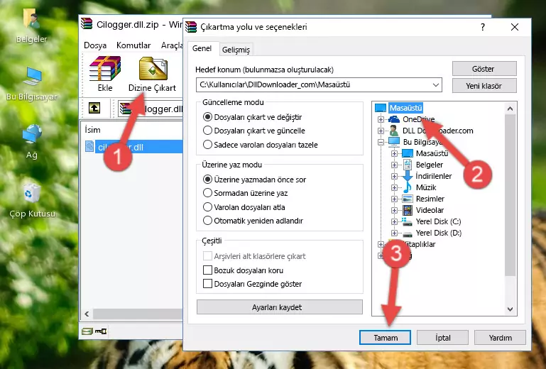 Cilogger.dll kütüphanesini Windows/System32 klasörüne yapıştırma