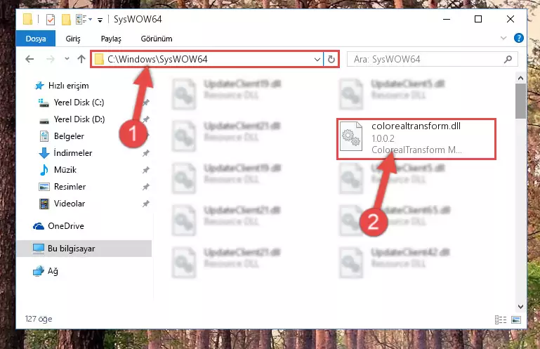Colorealtransform.dll dosyasını Windows/sysWOW64 dizinine yapıştırma