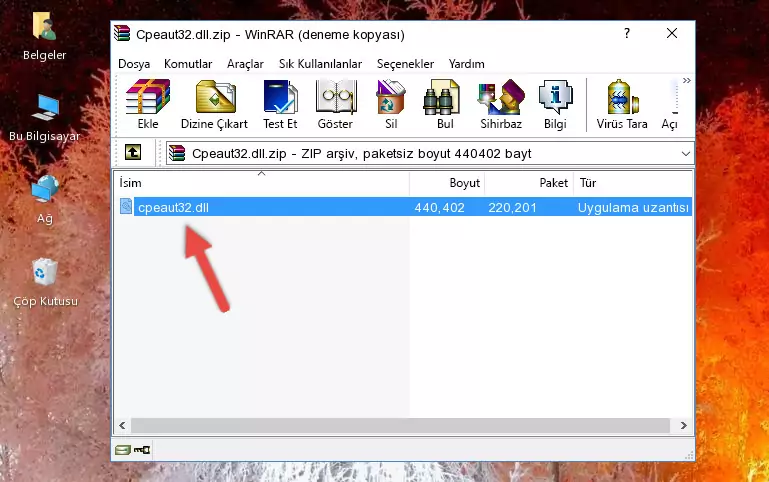 Program kurulum dizinine Cpeaut32.dll dosyasını kopyalama.
