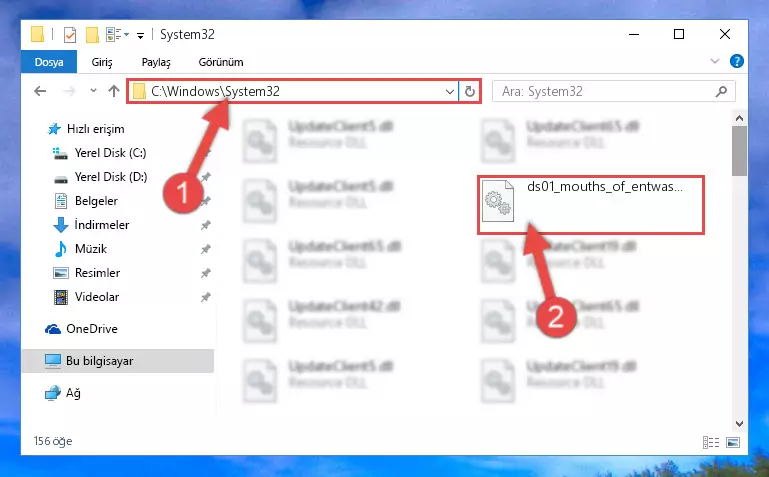 Ds01_mouths_of_entwash.dll kütüphanesini Windows/System32 klasörüne yapıştırma