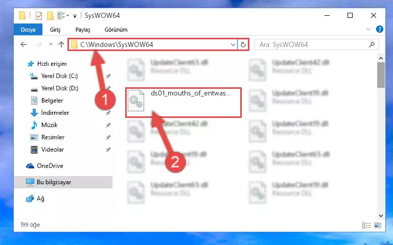 Ds01_mouths_of_entwash.dll kütüphanesini Windows/sysWOW64 klasörüne yapıştırma