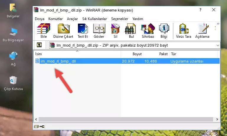 Im_mod_rl_bmp_.dll kütüphanesini uygulamanın ana klasörüne kopyalama