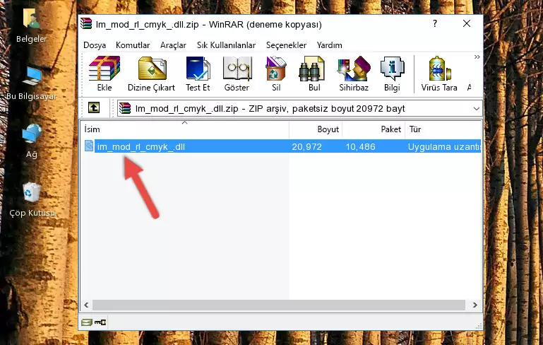 Uygulama ana klasörüne Im_mod_rl_cmyk_.dll dosyasını yapıştırma