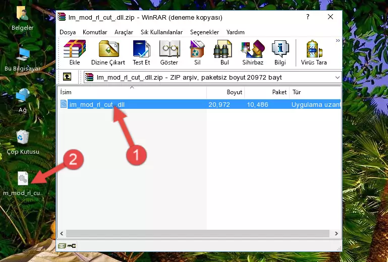 Program kurulum dizinine Im_mod_rl_cut_.dll dosyasını kopyalama.