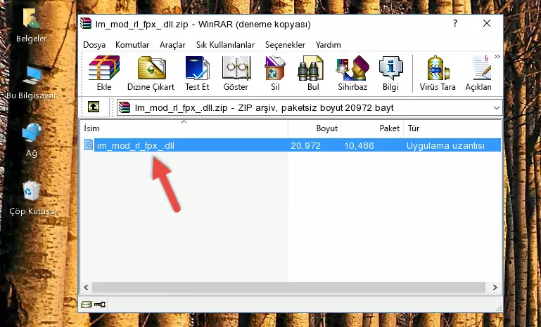 Uygulama ana klasörüne Im_mod_rl_fpx_.dll dosyasını yapıştırma