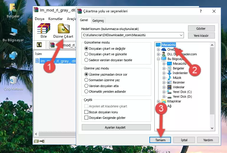Im_mod_rl_gray_.dll dosyasını Windows/System32 dizinine kopyalama