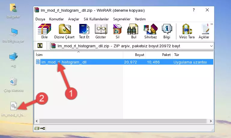 Program kurulum dizinine Im_mod_rl_histogram_.dll dosyasını kopyalama.