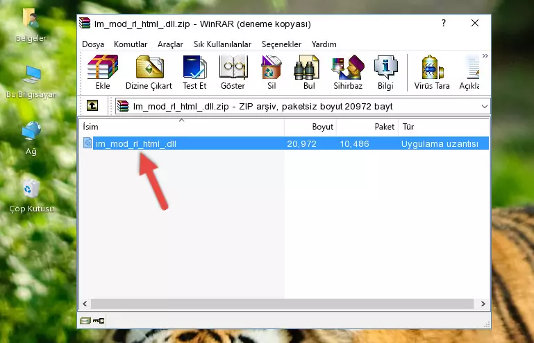 Program kurulum dizinine Im_mod_rl_html_.dll dosyasını kopyalama.