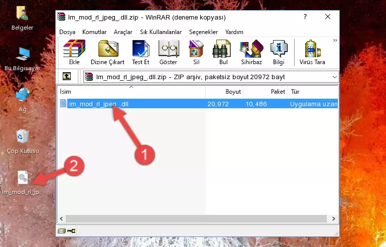 Uygulama ana klasörüne Im_mod_rl_jpeg_.dll dosyasını yapıştırma