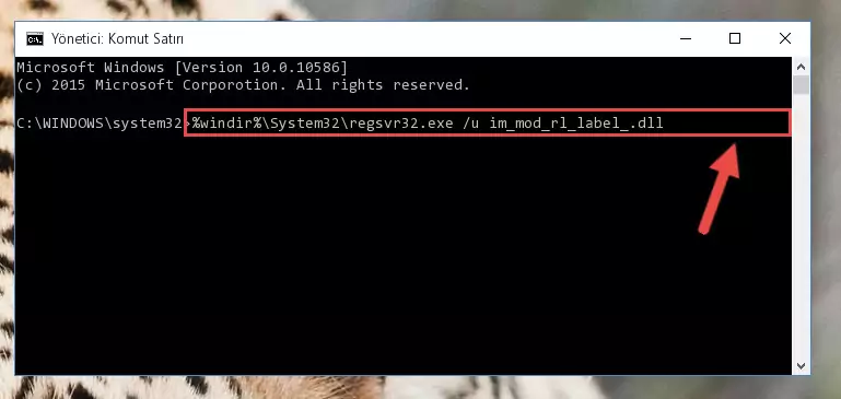 Im_mod_rl_label_.dll dosyasını dışarı çıkarma