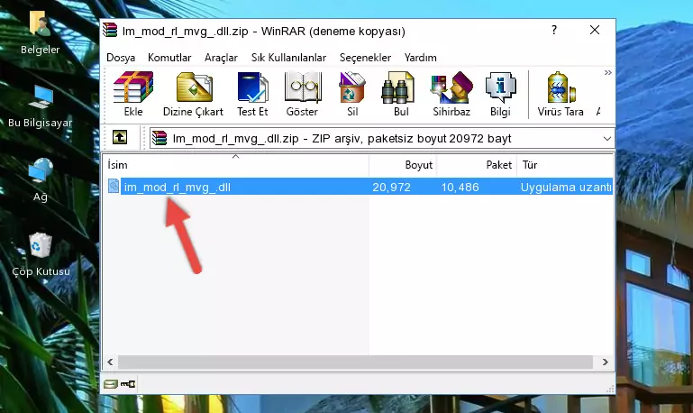 Uygulama ana klasörüne Im_mod_rl_mvg_.dll dosyasını yapıştırma