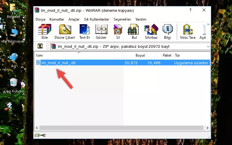 Program kurulum dizinine Im_mod_rl_null_.dll dosyasını kopyalama.