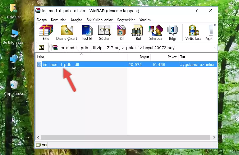 Uygulama ana klasörüne Im_mod_rl_pdb_.dll dosyasını yapıştırma