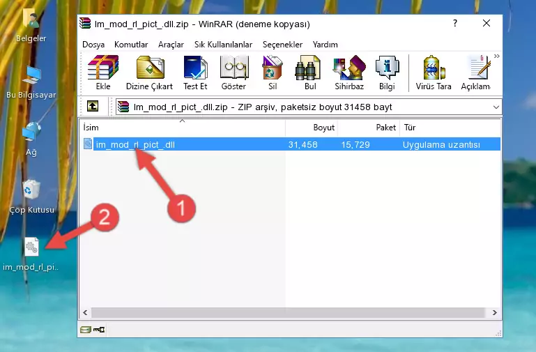Program kurulum dizinine Im_mod_rl_pict_.dll dosyasını kopyalama.