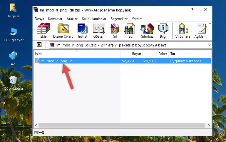 Uygulama ana klasörüne Im_mod_rl_png_.dll dosyasını yapıştırma