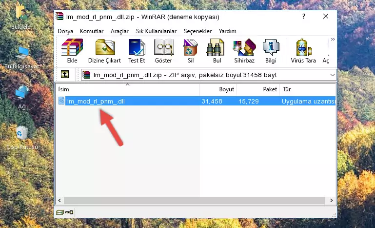 Program kurulum dizinine Im_mod_rl_pnm_.dll dosyasını kopyalama.